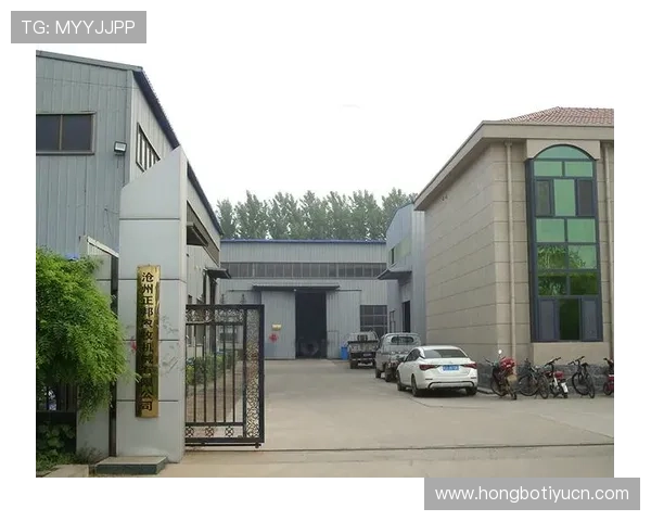 欧博abg官网入口，详细解析平台的优惠政策与新用户注册流程